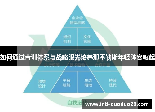 如何通过青训体系与战略眼光培养那不勒斯年轻阵容崛起