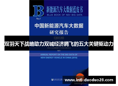 双羽天下战略助力双城经济腾飞的五大关键驱动力