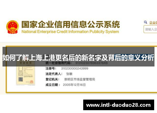 如何了解上海上港更名后的新名字及背后的意义分析