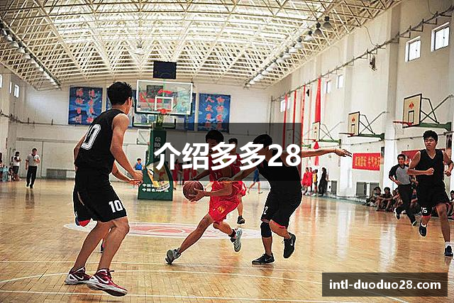 介绍多多28